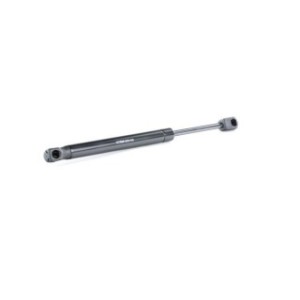 Tailgate Strut - RIDEX 219G0074