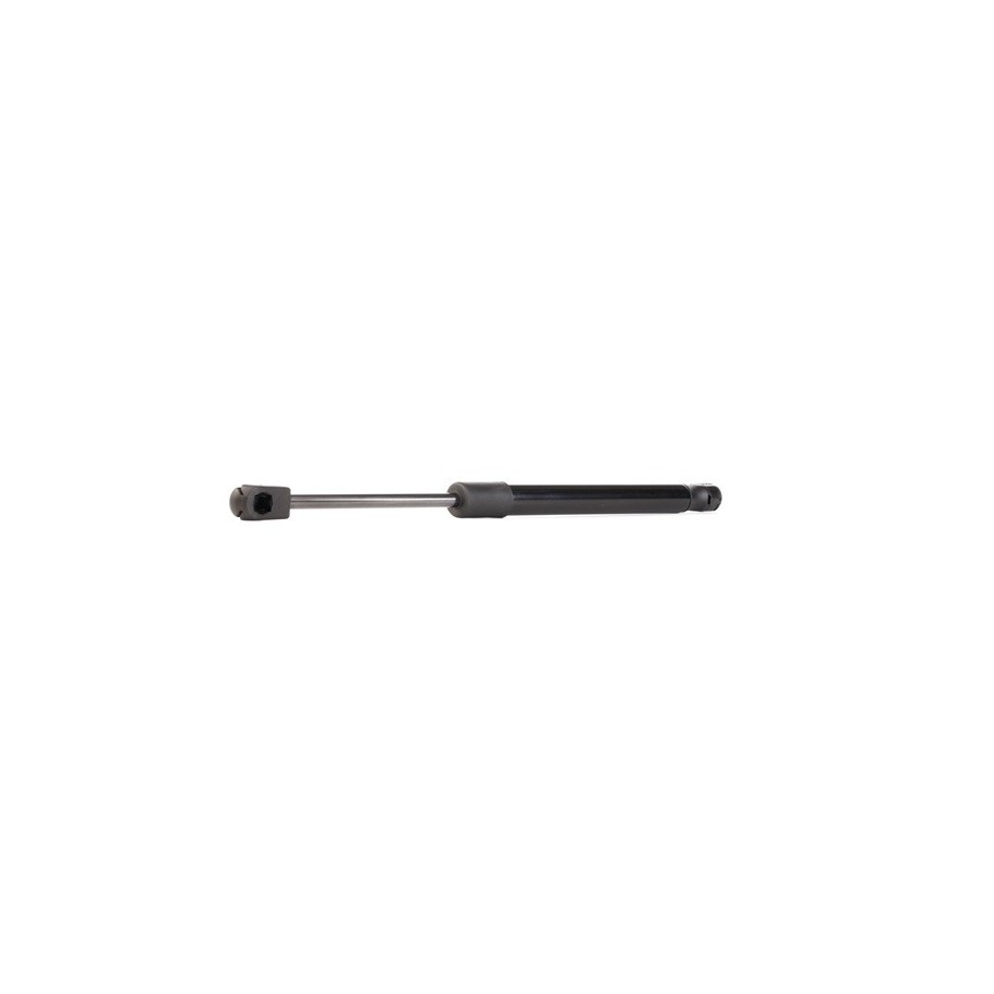 Tailgate Strut - RIDEX 219G0076