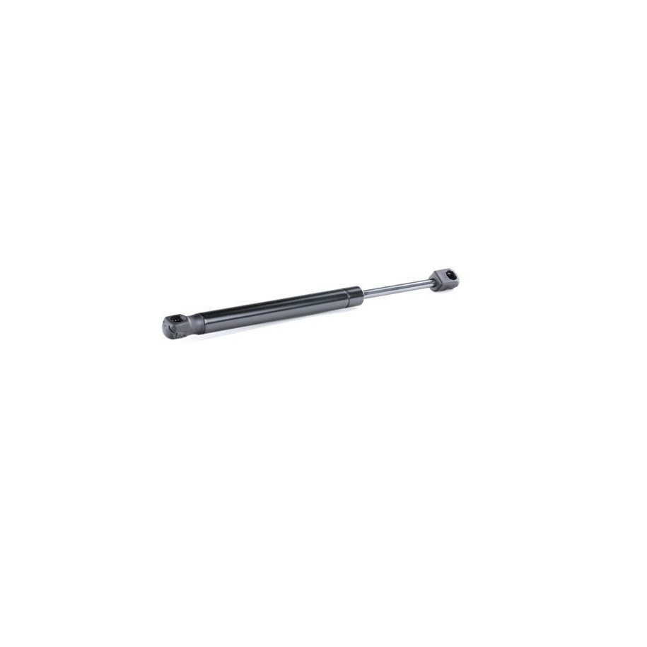 Tailgate Strut - RIDEX 219G0080