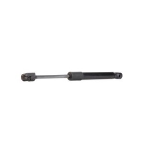 Tailgate Strut - RIDEX 219G0081