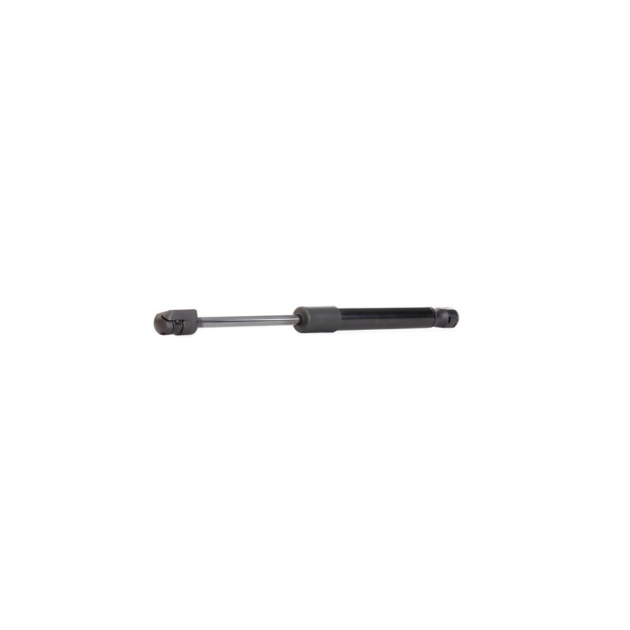 Tailgate Strut - RIDEX 219G0081