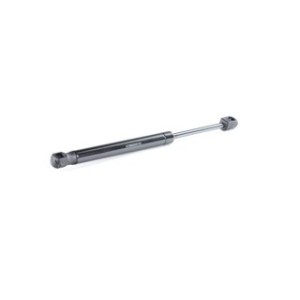 Tailgate Strut - RIDEX 219G0083