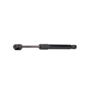 Tailgate Strut - RIDEX 219G0087