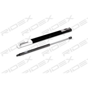 Tailgate Strut - RIDEX 219G0089