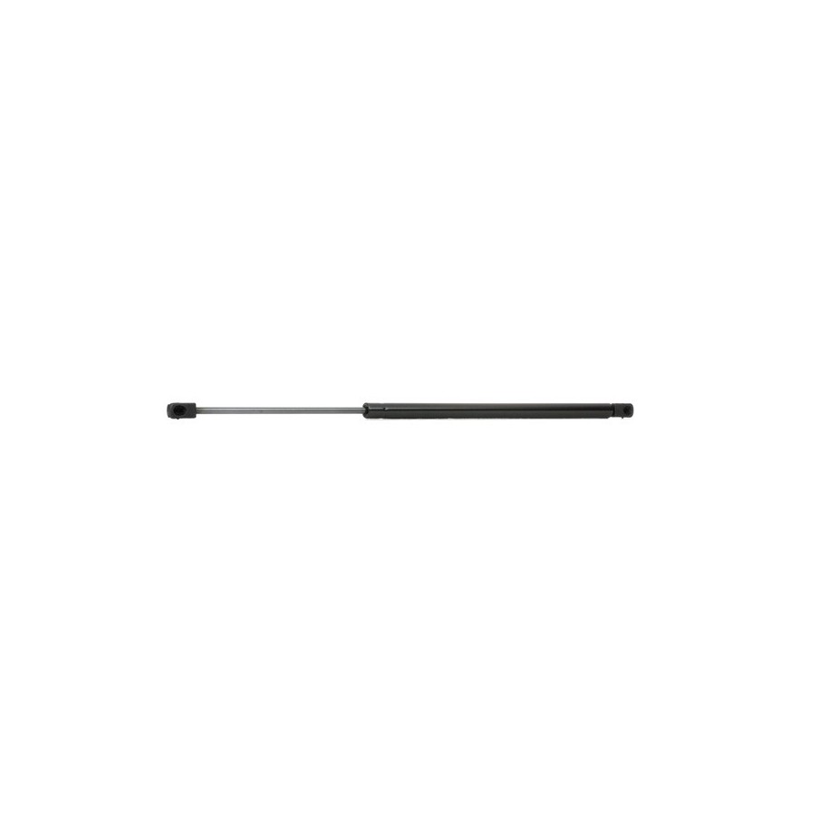 Tailgate Strut - RIDEX 219G0092