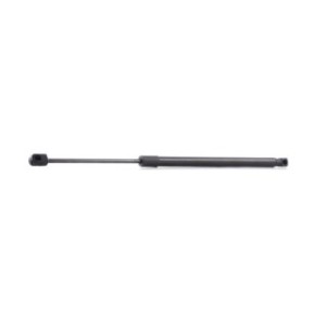Tailgate Strut - RIDEX 219G0094