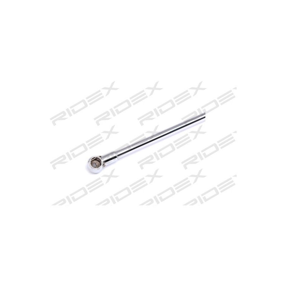 Cargo Area Gas Spring - RIDEX 514G0096