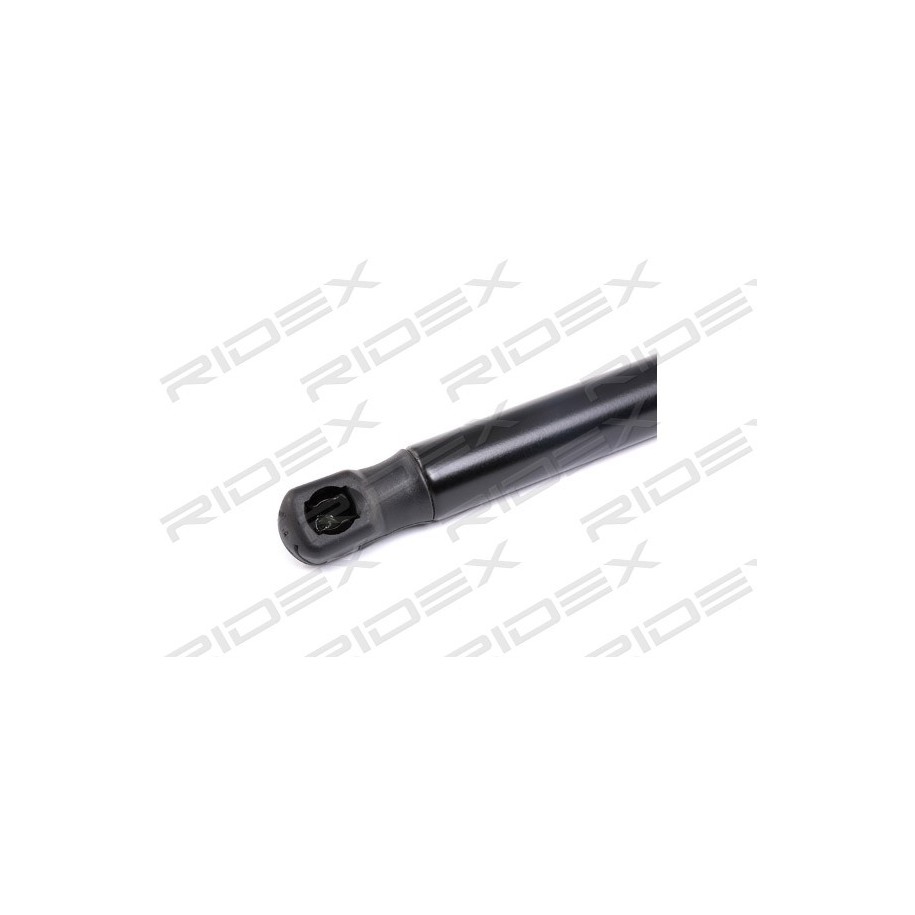 Tailgate Strut - RIDEX 219G0423