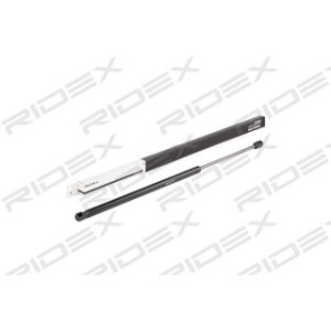 Tailgate Strut - RIDEX 219G0423