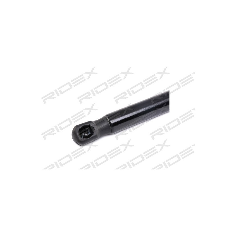 Tailgate Strut - RIDEX 219G0427