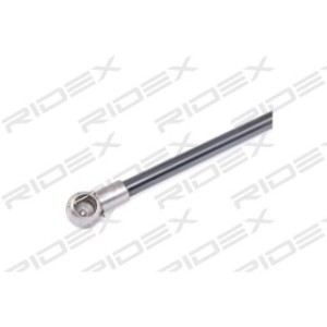 Tailgate Strut - RIDEX 219G0699
