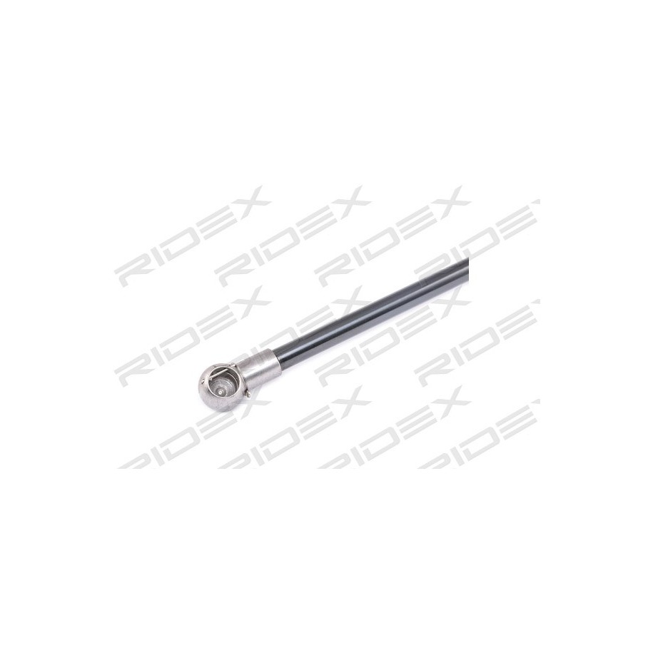 Tailgate Strut - RIDEX 219G0699