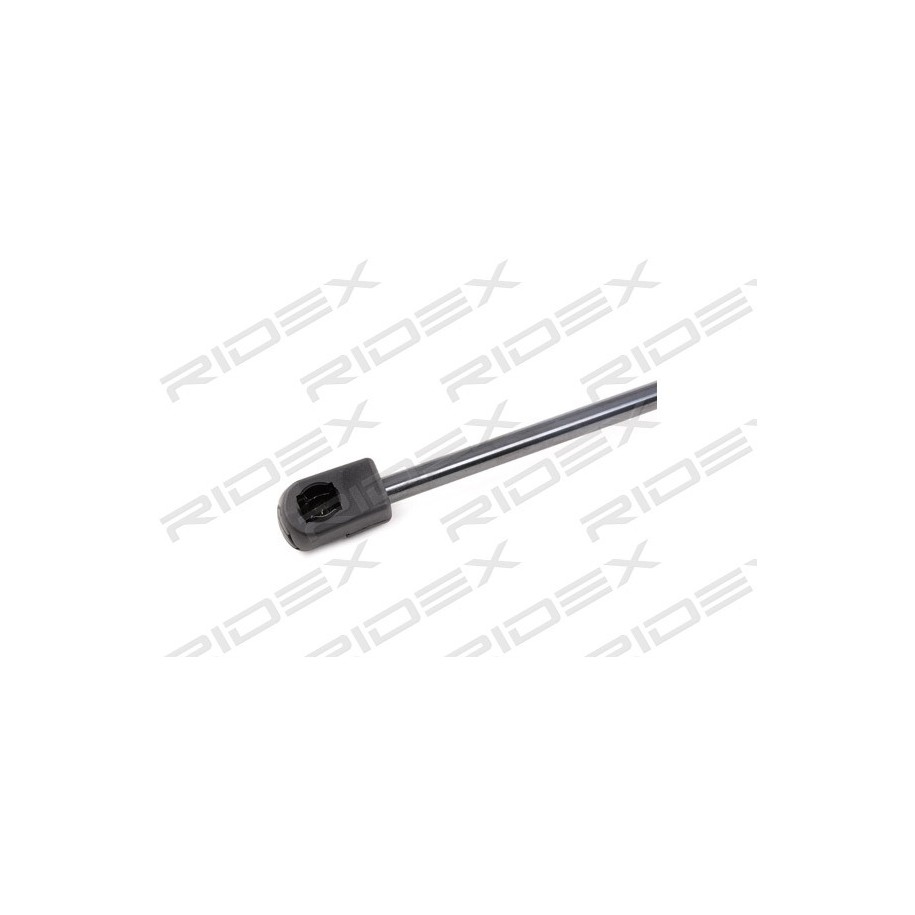 Tailgate Strut - RIDEX 219G0547