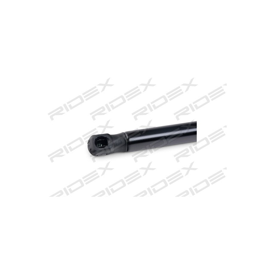 Tailgate Strut - RIDEX 219G0590