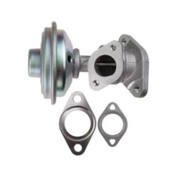 EGR Valve for AUDI, VW OE 059131503H