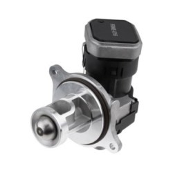 EGR Valve for MERCEDES A-CLASS, B-CLASS OE A6401401960