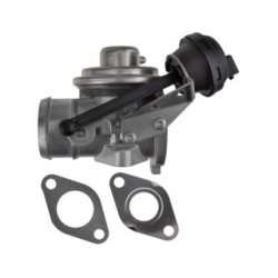 EGR Valve for AUDI, SEAT, VW OE 045131501D