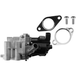 EGR Valve 5802061038 OE 5802061038