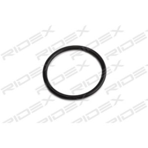 Hydraulic Filter Set - RIDEX 3843H0018