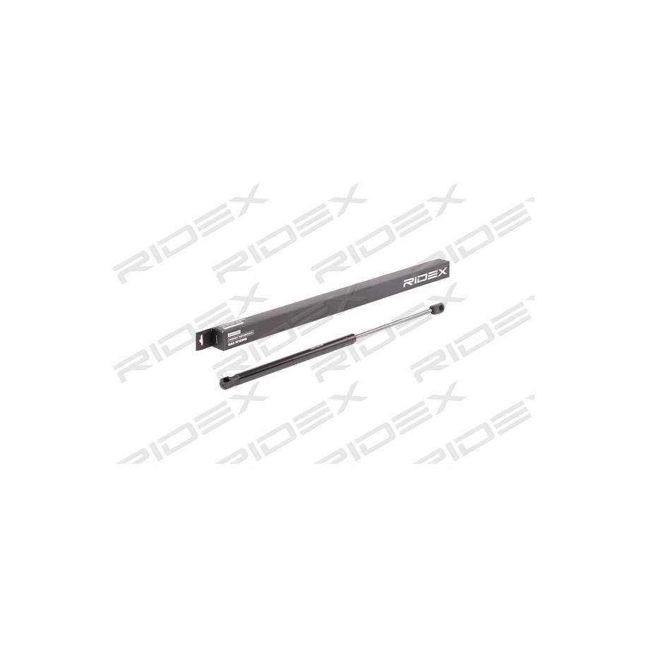 Tailgate Strut - RIDEX 219G0864