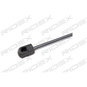 Tailgate Strut - RIDEX 219G0864
