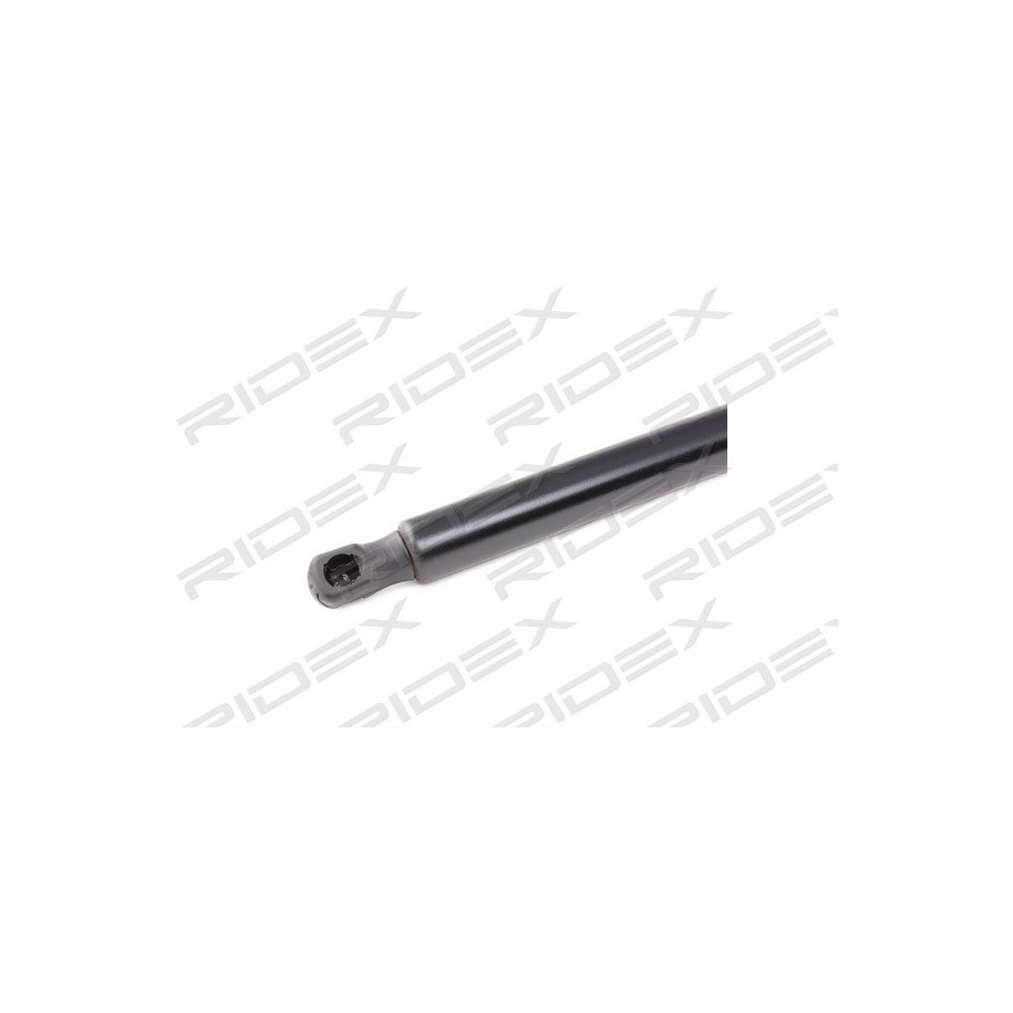 Tailgate Strut - RIDEX 219G0878