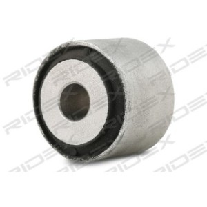 Axle Strut Mounting - RIDEX 251T0575