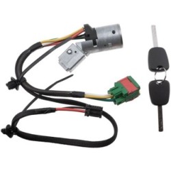Steering Lock for PEUGEOT 307 OE 4162X4