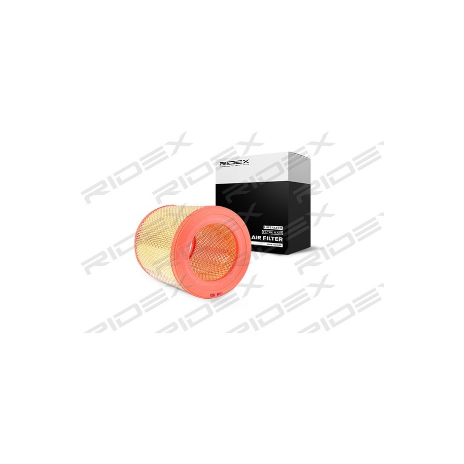 Air Filter - RIDEX 8A0141
