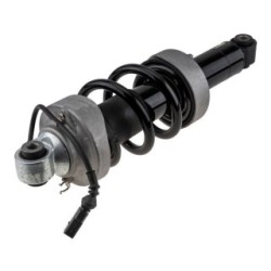 Front Left Shock Absorber for AUDI R8 OE 420412019AJ