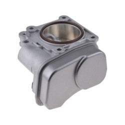 Throttle Body for CHEVROLET, VAUXHALL, SAAB OE 25312094