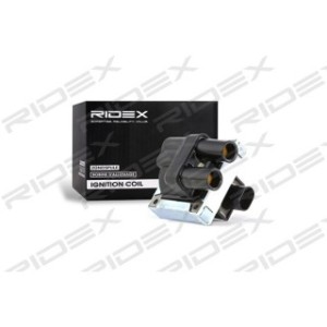 Ignition Coil - RIDEX 689C0012