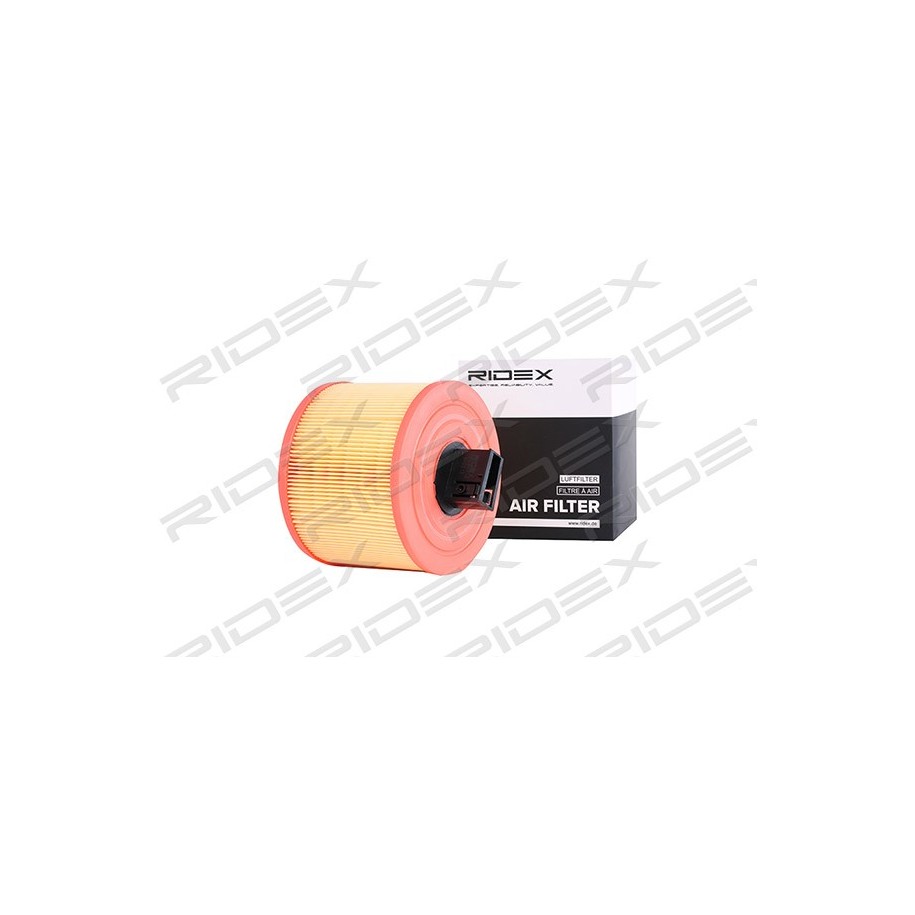 Air Filter - RIDEX 8A0213