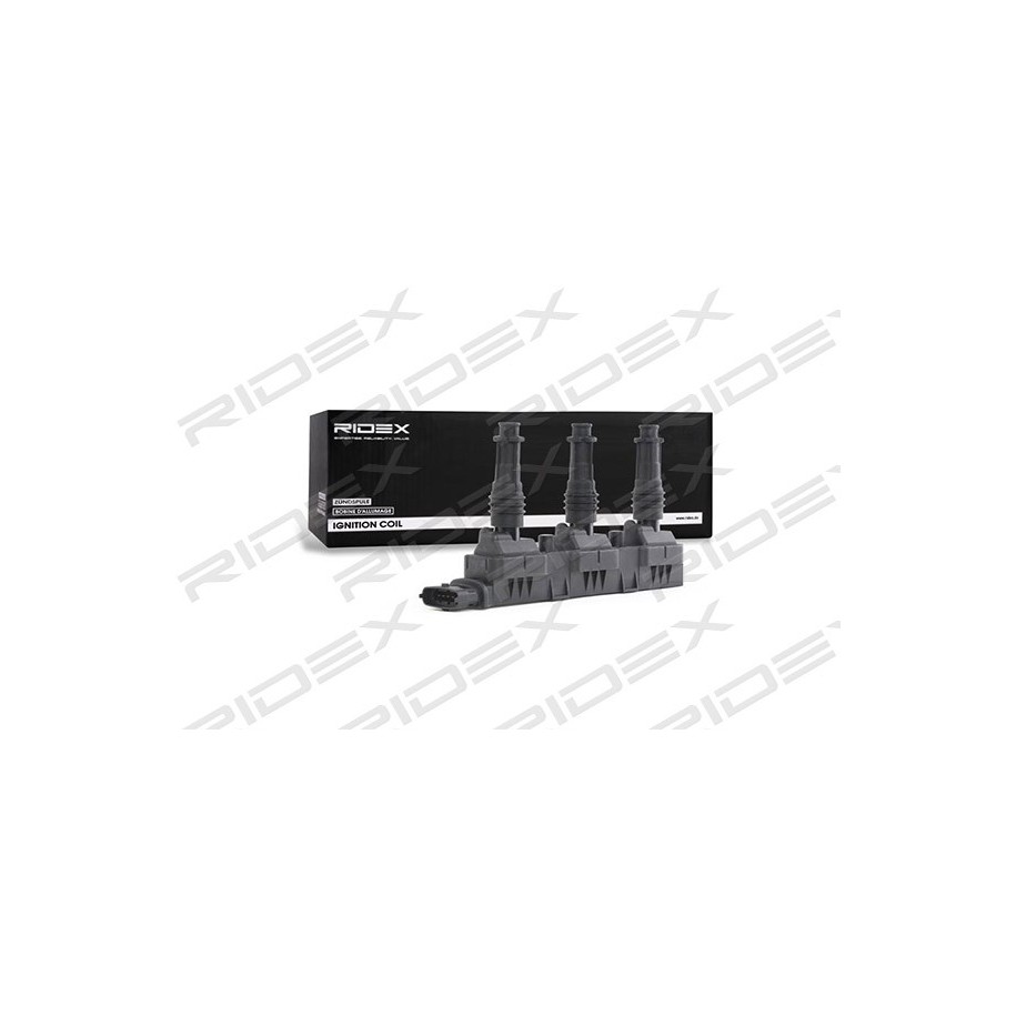 Ignition Coil - RIDEX 689C0228