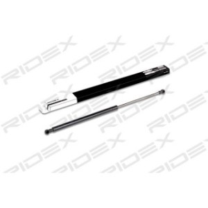 Tailgate Strut - RIDEX 219G0112