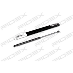 Tailgate Strut - RIDEX 219G0118