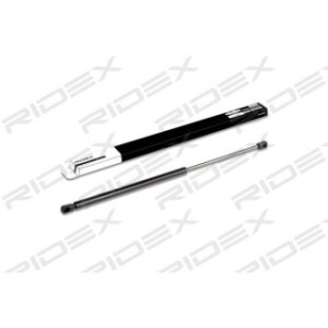 Tailgate Strut - RIDEX 219G0123