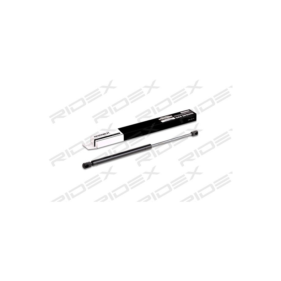 Tailgate Strut - RIDEX 219G0194