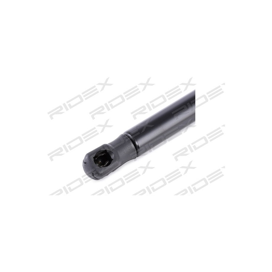 Tailgate Strut - RIDEX 219G0243