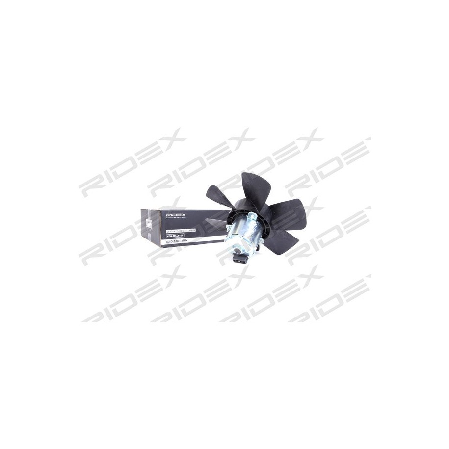 Engine Cooling Fan - RIDEX 508R0009