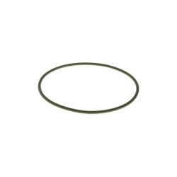 Seal Ring BOSCH F00R0P0341 OE 5600735569
