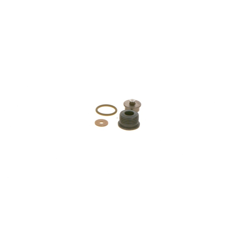 Common Rail System Repair Kit BOSCH F00N202418