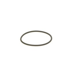 Seal Ring BOSCH F00N201306 OE 1782603