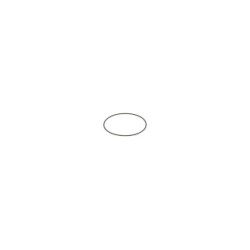 Seal Ring BOSCH F00N201204