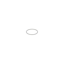 Seal Ring BOSCH F00N201204