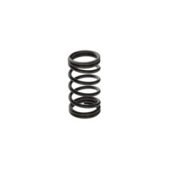Spring BOSCH F00N200141 OE 5600735567