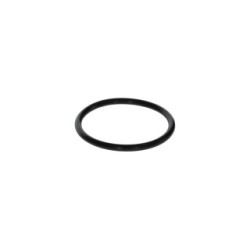 Seal Ring BOSCH F00N200018
