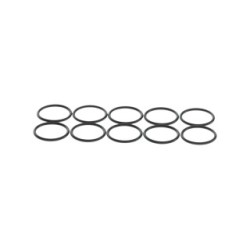 Seal Ring BOSCH F00N000086