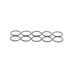 Seal Ring BOSCH F00N000086
