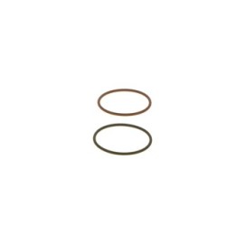 Unit Injector Repair Kit BOSCH F00041P051